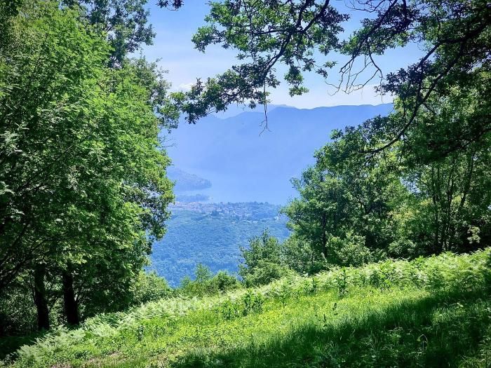 paesaggio